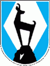 Wappen I./ Gruppe